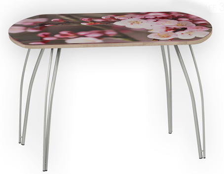 Стол Кремона-Н МИНИ яс.шим.тем ф/п 800 х 600 мм(без опор)